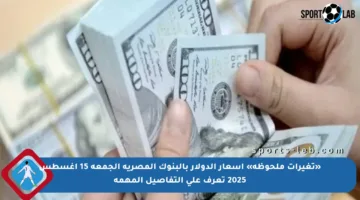 «تغيرات ملحوظة» أسعار الدولار بالبنوك المصرية الجمعة 15 أغسطس 2025 تعرف على التفاصيل المهمة